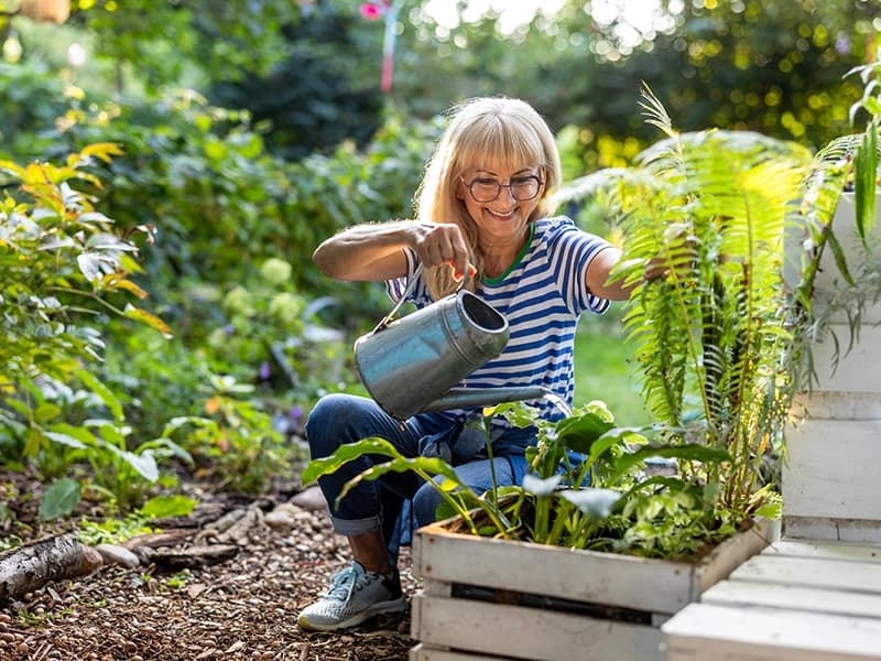 Professional Garden Care & Upkeep